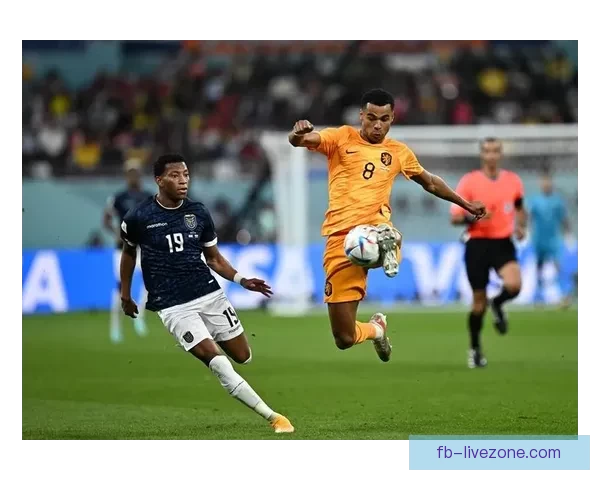 世界杯在线竞猜平台引领潮流助你赢得大奖精彩赛事一触即发